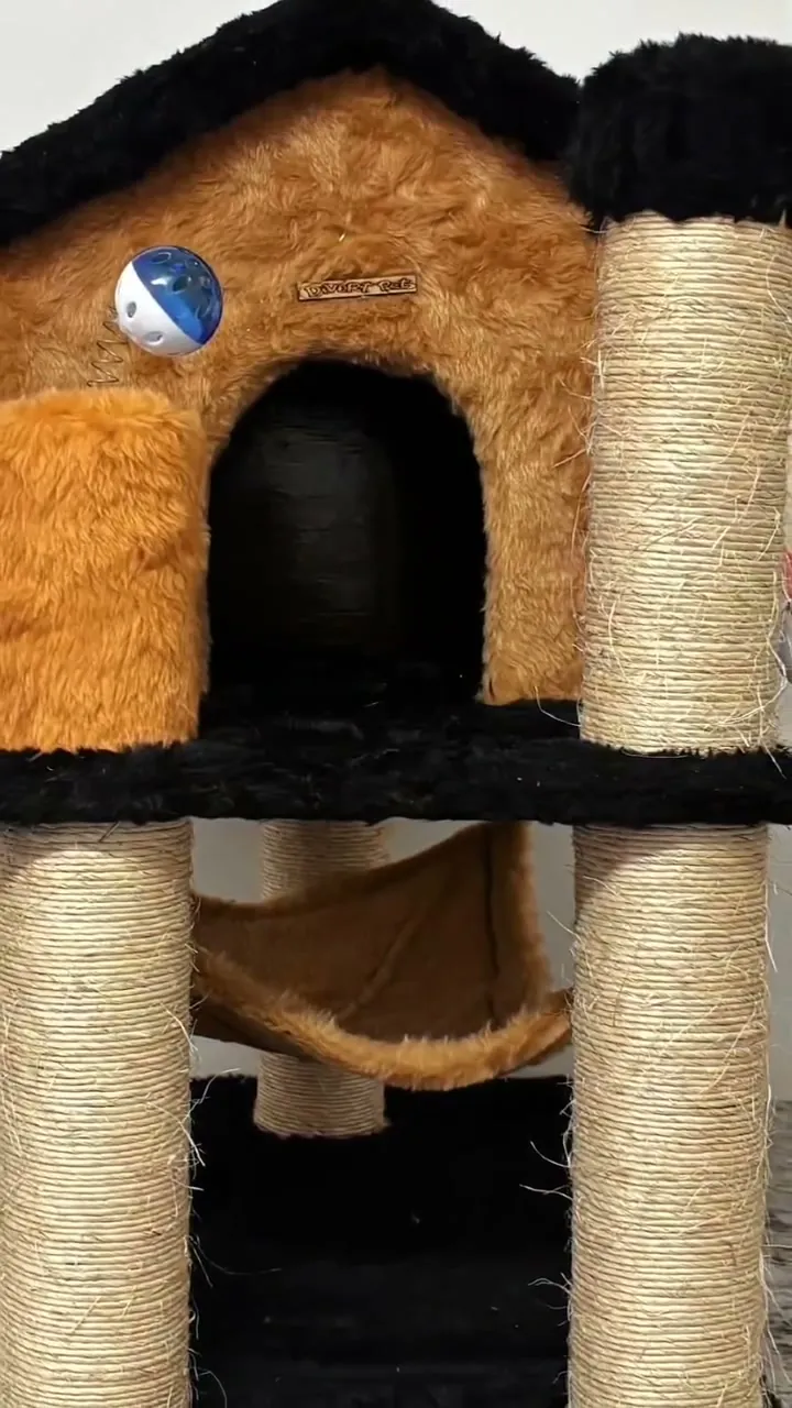 Arranhador para gato com casinha e rede