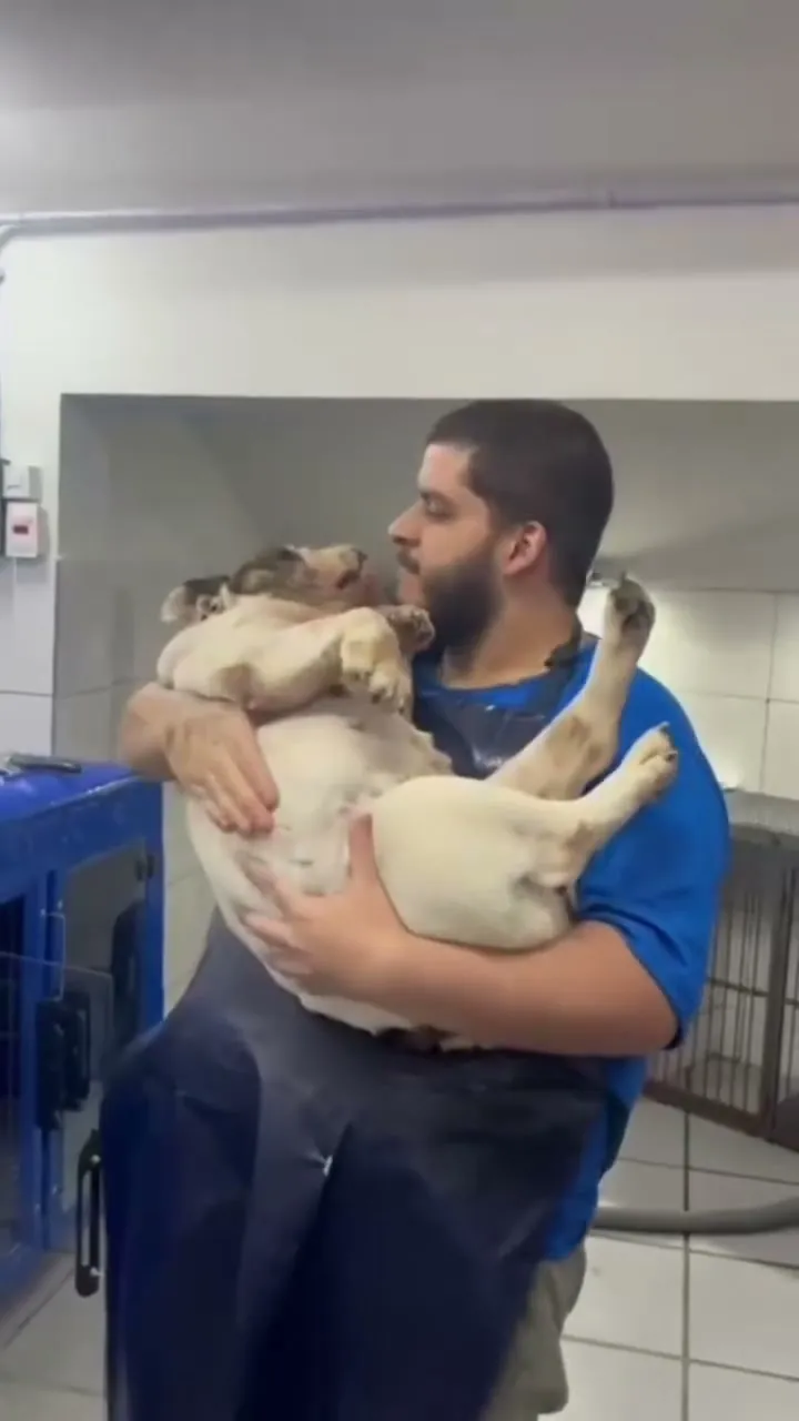 Tosador da Família Animal com um cachorro no colo