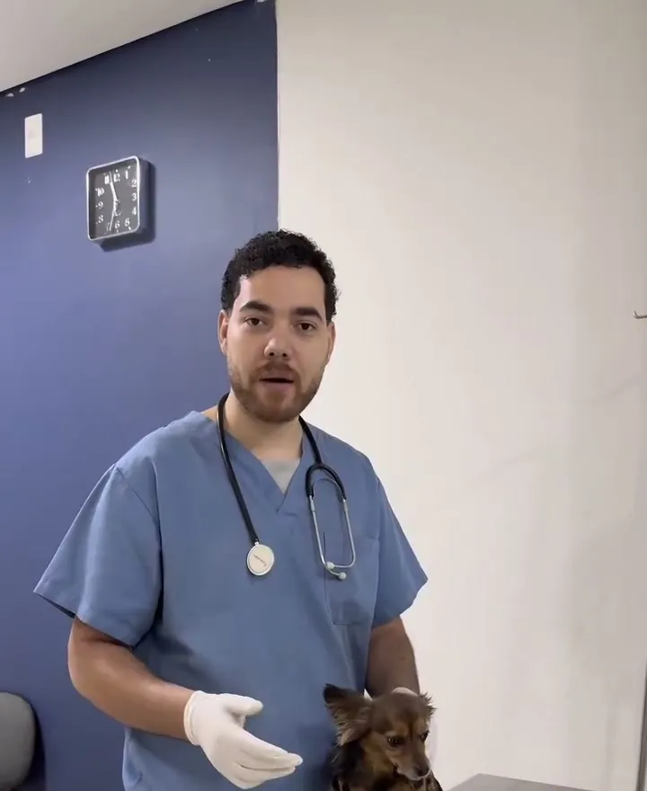 Veterinário da Família Animal com a cachorrinha Meg no consultório